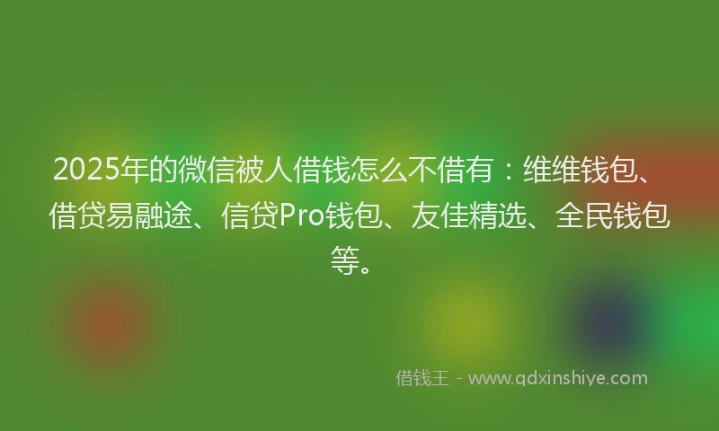 2025年的微信被人借钱怎么不借有：维维钱包、借贷易融途、信贷Pro钱包、友佳精选、全民钱包等。