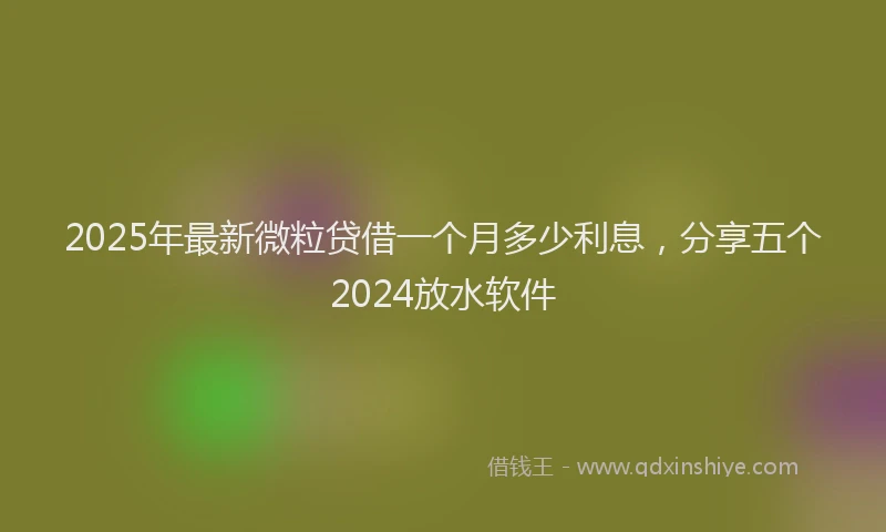 2025年最新微粒贷借一个月多少利息，分享五个2024放水软件