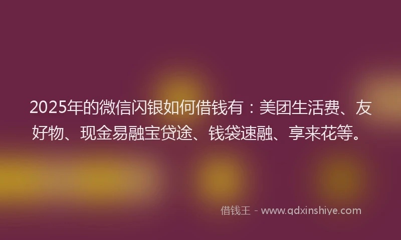 2025年的微信闪银如何借钱有：美团生活费、友好物、现金易融宝贷途、钱袋速融、享来花等。