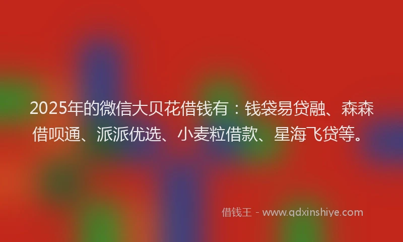 2025年的微信大贝花借钱有：钱袋易贷融、森森借呗通、派派优选、小麦粒借款、星海飞贷等。
