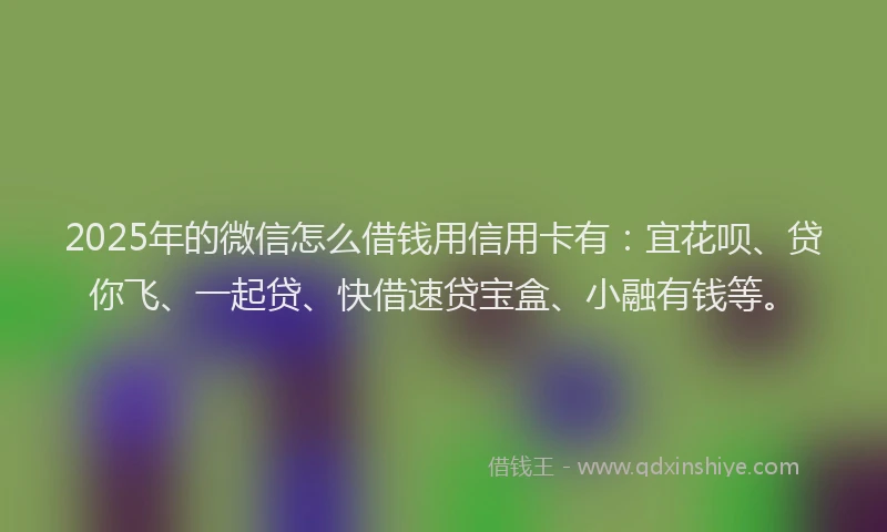 2025年的微信怎么借钱用信用卡有：宜花呗、贷你飞、一起贷、快借速贷宝盒、小融有钱等。