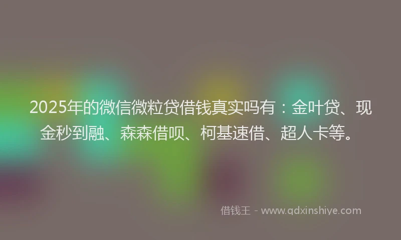 2025年的微信微粒贷借钱真实吗有：金叶贷、现金秒到融、森森借呗、柯基速借、超人卡等。