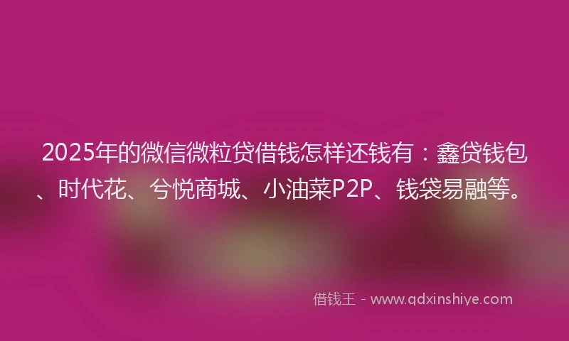 2025年的微信微粒贷借钱怎样还钱有：鑫贷钱包、时代花、兮悦商城、小油菜P2P、钱袋易融等。