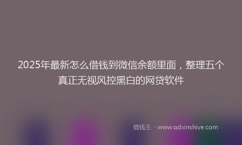 2025年最新怎么借钱到微信余额里面，整理五个真正无视风控黑白的网贷软件