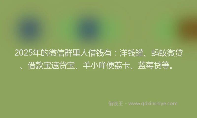 2025年的微信群里人借钱有：洋钱罐、蚂蚁微贷、借款宝速贷宝、羊小咩便荔卡、蓝莓贷等。