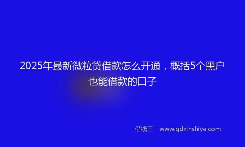 2025年最新微粒贷借款怎么开通，概括5个黑户也能借款的口子