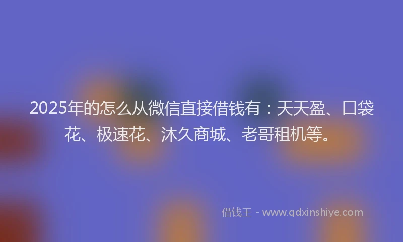 2025年的怎么从微信直接借钱有：天天盈、口袋花、极速花、沐久商城、老哥租机等。