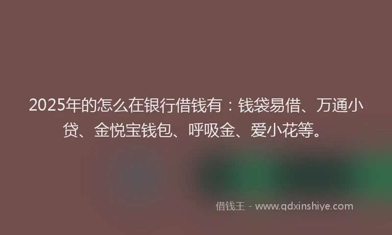 2025年的怎么在银行借钱有：钱袋易借、万通小贷、金悦宝钱包、呼吸金、爱小花等。