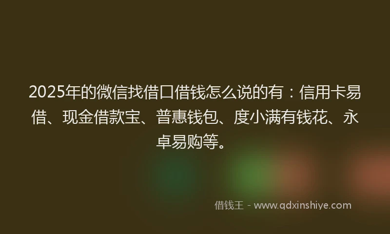 2025年的微信找借口借钱怎么说的有：信用卡易借、现金借款宝、普惠钱包、度小满有钱花、永卓易购等。