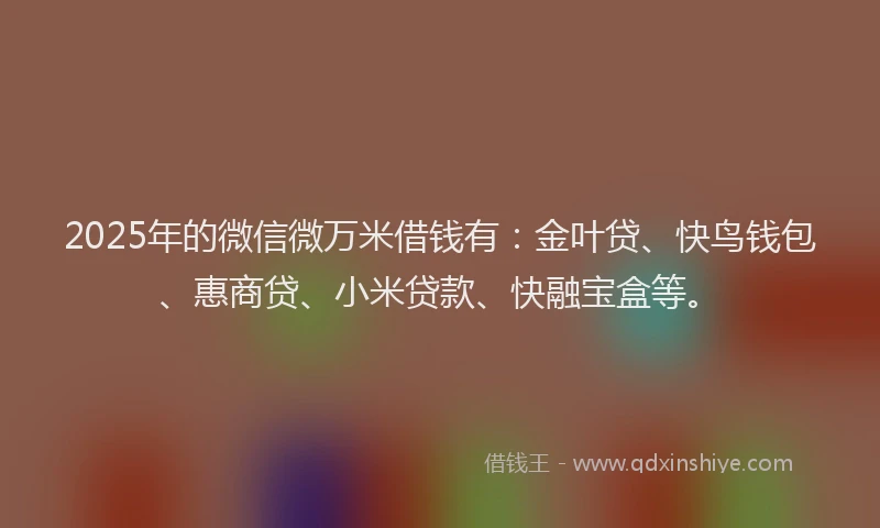 2025年的微信微万米借钱有：金叶贷、快鸟钱包、惠商贷、小米贷款、快融宝盒等。