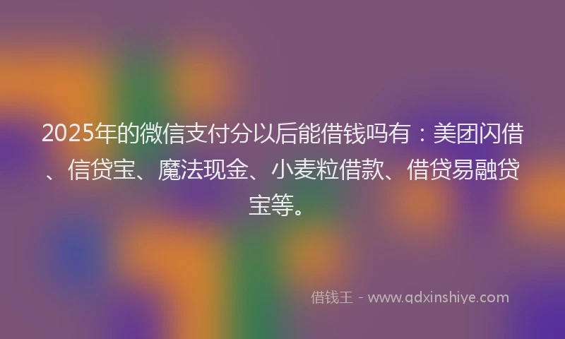 2025年的微信支付分以后能借钱吗有：美团闪借、信贷宝、魔法现金、小麦粒借款、借贷易融贷宝等。