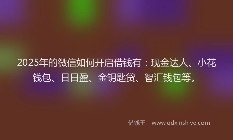 2025年的微信如何开启借钱有：现金达人、小花钱包、日日盈、金钥匙贷、智汇钱包等。