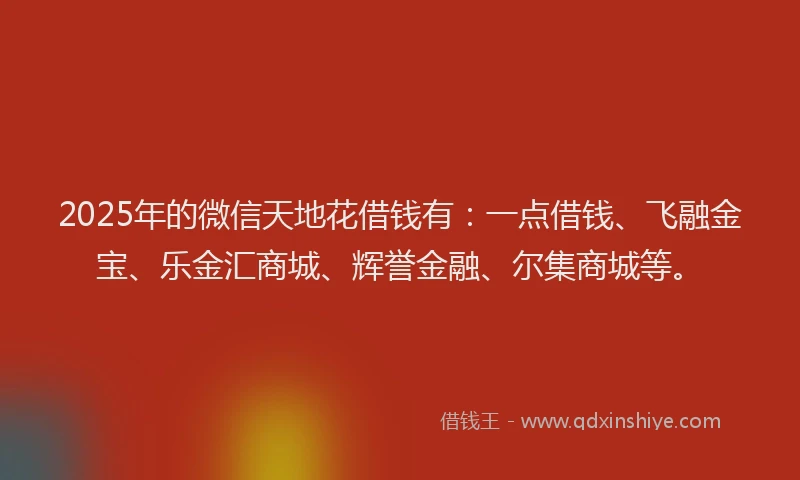 2025年的微信天地花借钱有：一点借钱、飞融金宝、乐金汇商城、辉誉金融、尔集商城等。