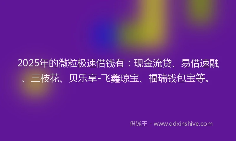 2025年的微粒极速借钱有：现金流贷、易借速融、三枝花、贝乐享-飞鑫琼宝、福瑞钱包宝等。