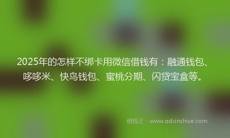2025年的怎样不绑卡用微信借钱有：融通钱包、哆哆米、快鸟钱包、蜜桃分期、闪贷宝盒等。