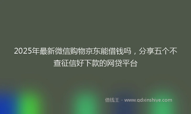 2025年最新微信购物京东能借钱吗，分享五个不查征信好下款的网贷平台