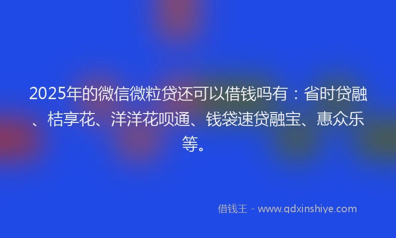 2025年的微信微粒贷还可以借钱吗有：省时贷融、桔享花、洋洋花呗通、钱袋速贷融宝、惠众乐等。