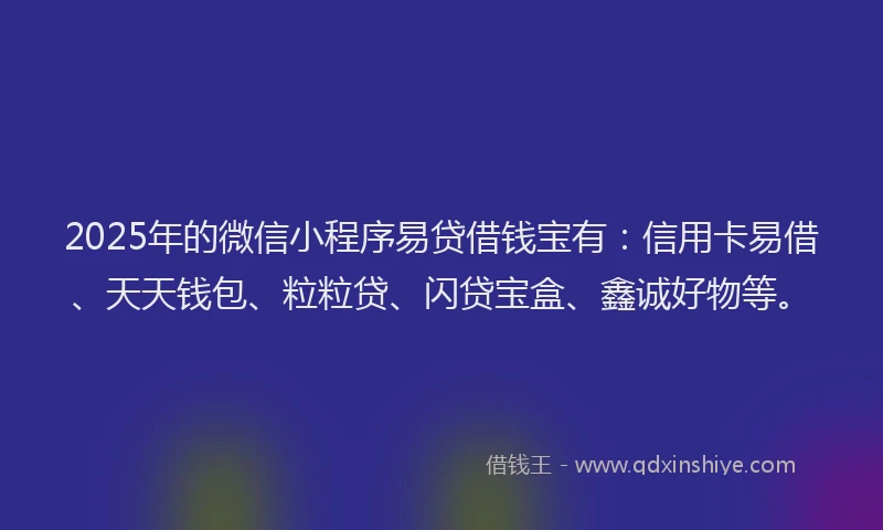 2025年的微信小程序易贷借钱宝有：信用卡易借、天天钱包、粒粒贷、闪贷宝盒、鑫诚好物等。
