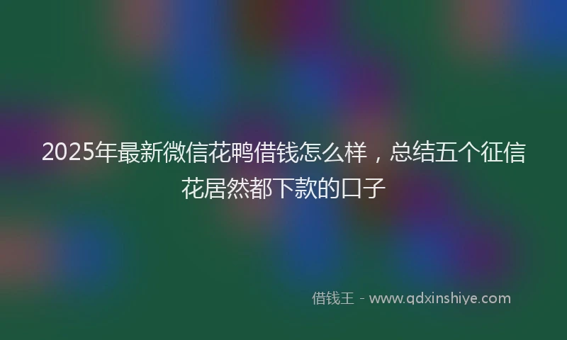 2025年最新微信花鸭借钱怎么样，总结五个征信花居然都下款的口子