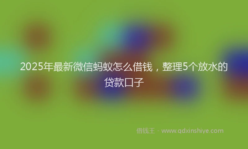 2025年最新微信蚂蚁怎么借钱，整理5个放水的贷款口子