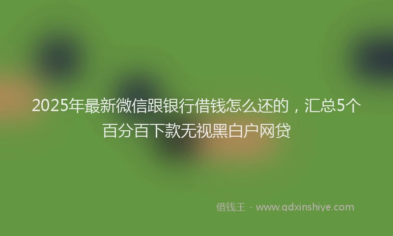 2025年最新微信跟银行借钱怎么还的，汇总5个百分百下款无视黑白户网贷