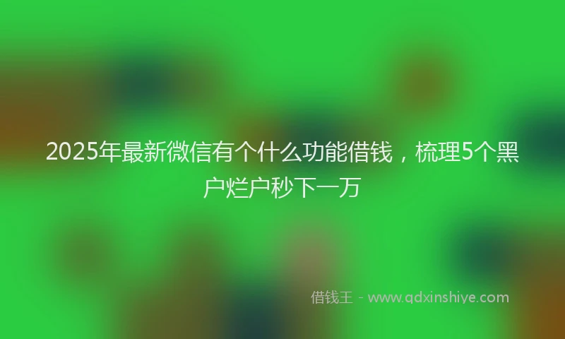 2025年最新微信有个什么功能借钱，梳理5个黑户烂户秒下一万