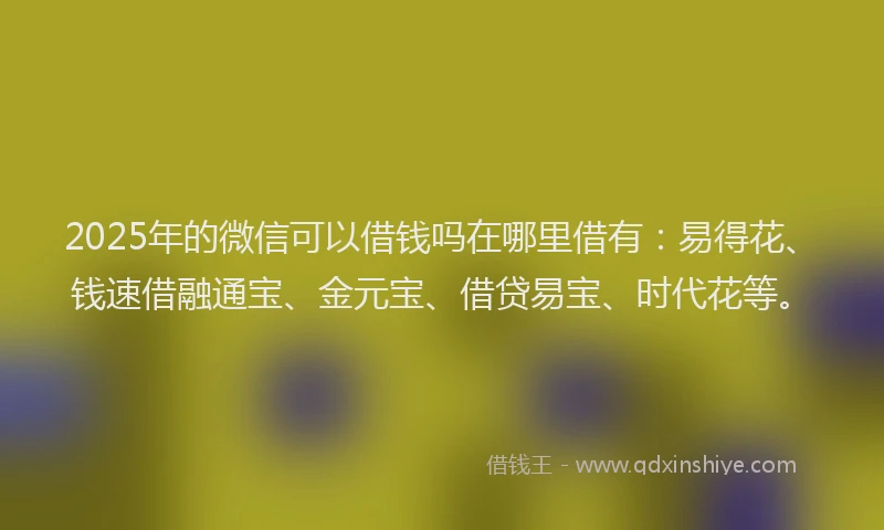 2025年的微信可以借钱吗在哪里借有：易得花、钱速借融通宝、金元宝、借贷易宝、时代花等。