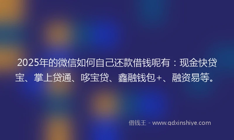 2025年的微信如何自己还款借钱呢有：现金快贷宝、掌上贷通、哆宝贷、鑫融钱包+、融资易等。