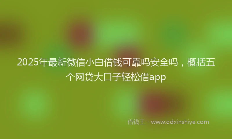 2025年最新微信小白借钱可靠吗安全吗，概括五个网贷大口子轻松借app
