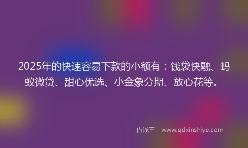 2025年的快速容易下款的小额有：钱袋快融、蚂蚁微贷、甜心优选、小金象分期、放心花等。
