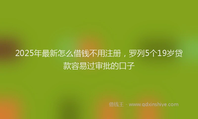 2025年最新怎么借钱不用注册，罗列5个19岁贷款容易过审批的口子