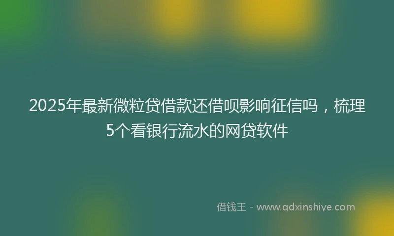 2025年最新微粒贷借款还借呗影响征信吗，梳理5个看银行流水的网贷软件