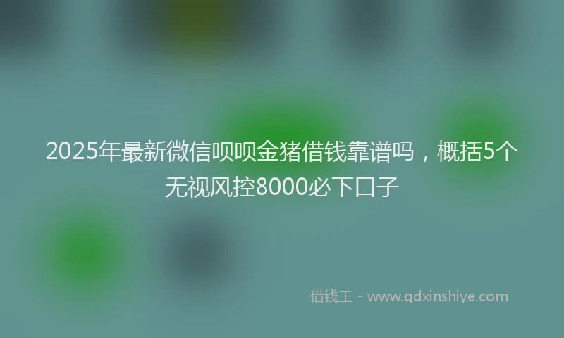 2025年最新微信呗呗金猪借钱靠谱吗，概括5个无视风控8000必下口子