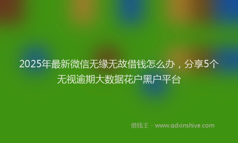 2025年最新微信无缘无故借钱怎么办，分享5个无视逾期大数据花户黑户平台