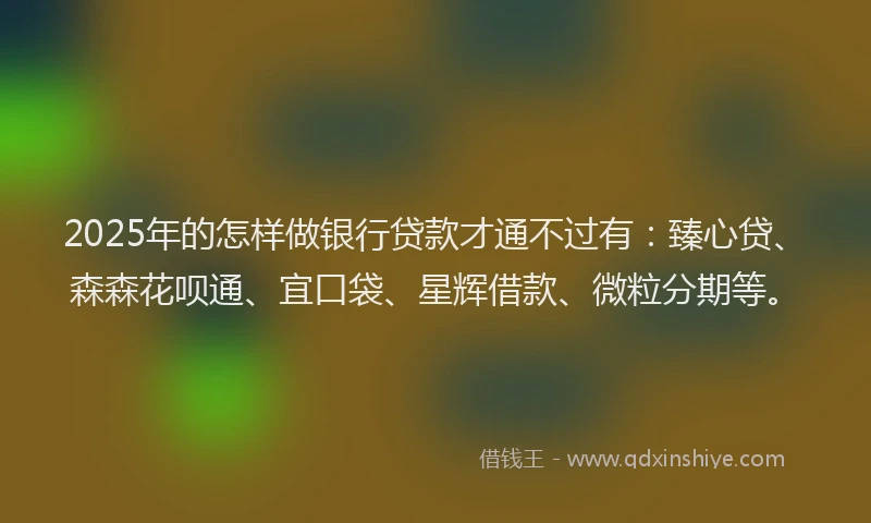 2025年的怎样做银行贷款才通不过有：臻心贷、森森花呗通、宜口袋、星辉借款、微粒分期等。
