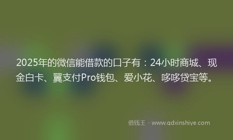 2025年的微信能借款的口子有：24小时商城、现金白卡、翼支付Pro钱包、爱小花、哆哆贷宝等。