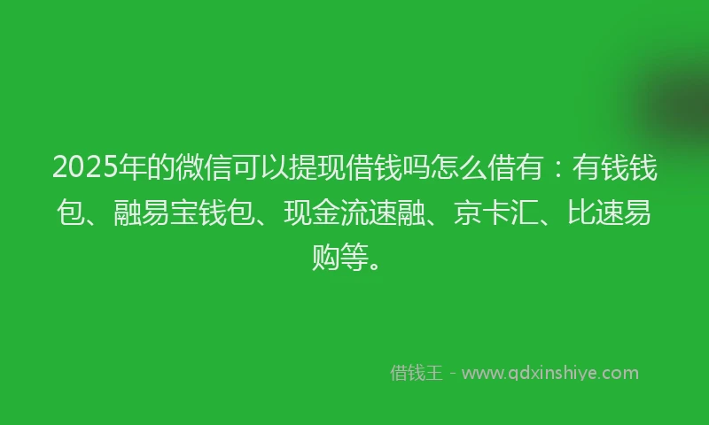 2025年的微信可以提现借钱吗怎么借有：有钱钱包、融易宝钱包、现金流速融、京卡汇、比速易购等。