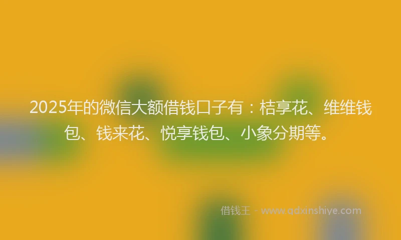 2025年的微信大额借钱口子有：桔享花、维维钱包、钱来花、悦享钱包、小象分期等。