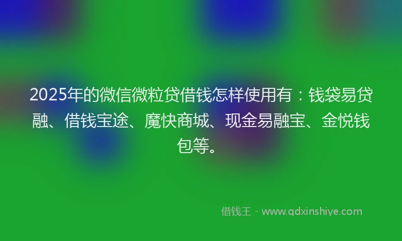 2025年的微信微粒贷借钱怎样使用有：钱袋易贷融、借钱宝途、魔快商城、现金易融宝、金悦钱包等。