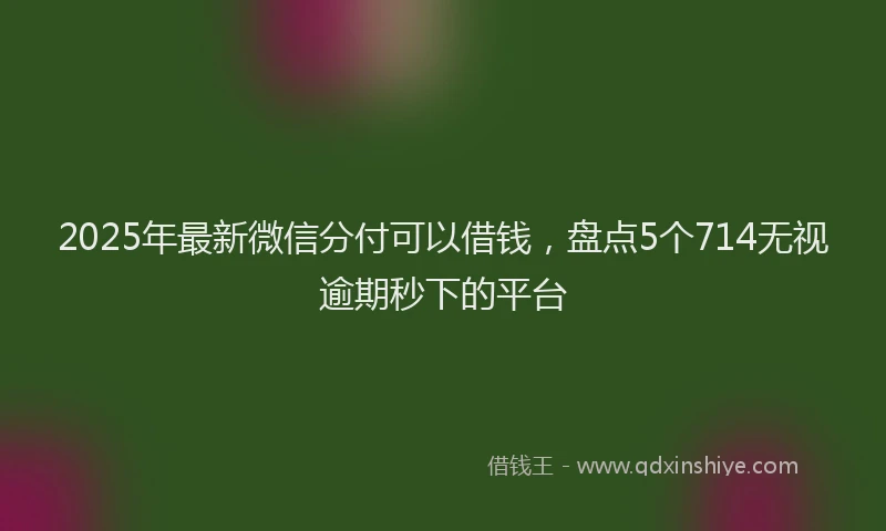 2025年最新微信分付可以借钱，盘点5个714无视逾期秒下的平台