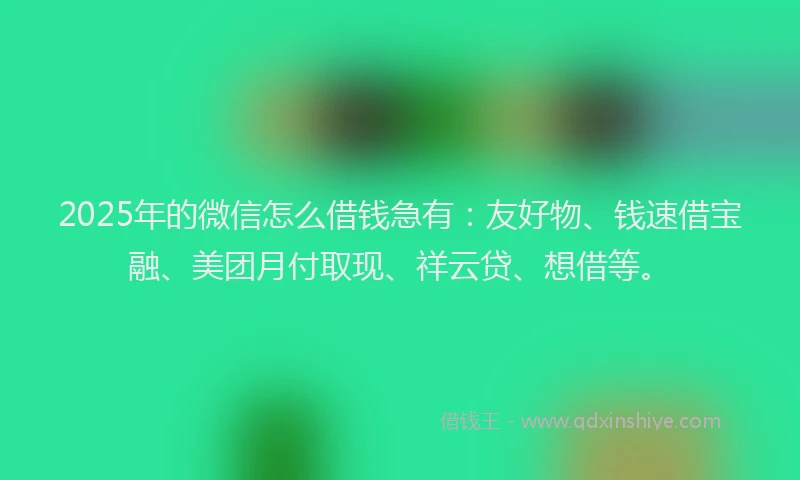 2025年的微信怎么借钱急有：友好物、钱速借宝融、美团月付取现、祥云贷、想借等。