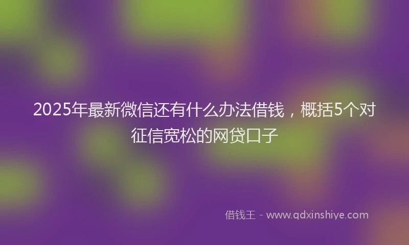 2025年最新微信还有什么办法借钱，概括5个对征信宽松的网贷口子