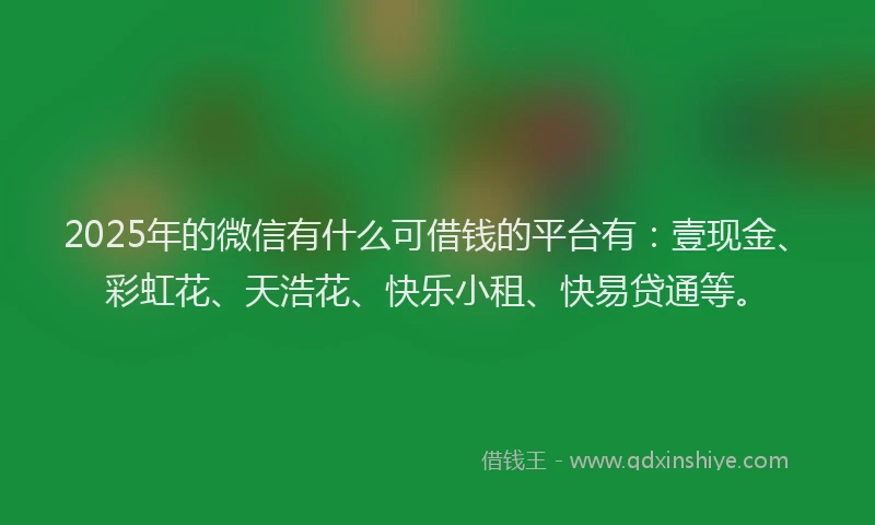 2025年的微信有什么可借钱的平台有：壹现金、彩虹花、天浩花、快乐小租、快易贷通等。