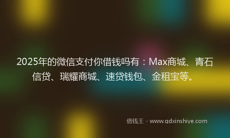 2025年的微信支付你借钱吗有：Max商城、青石信贷、瑞耀商城、速贷钱包、金租宝等。