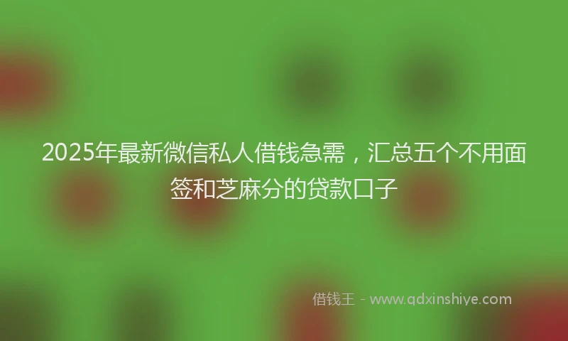 2025年最新微信私人借钱急需，汇总五个不用面签和芝麻分的贷款口子