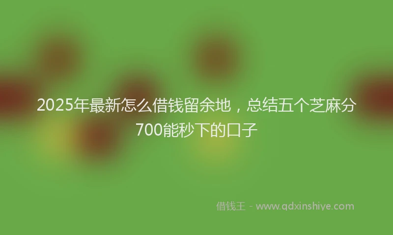 2025年最新怎么借钱留余地，总结五个芝麻分700能秒下的口子