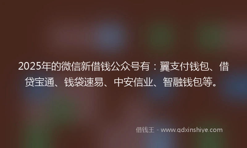 2025年的微信新借钱公众号有：翼支付钱包、借贷宝通、钱袋速易、中安信业、智融钱包等。