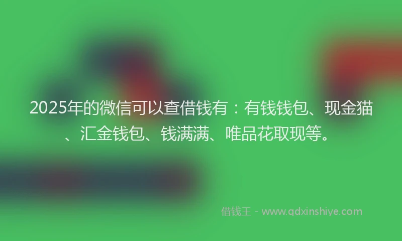 2025年的微信可以查借钱有：有钱钱包、现金猫、汇金钱包、钱满满、唯品花取现等。