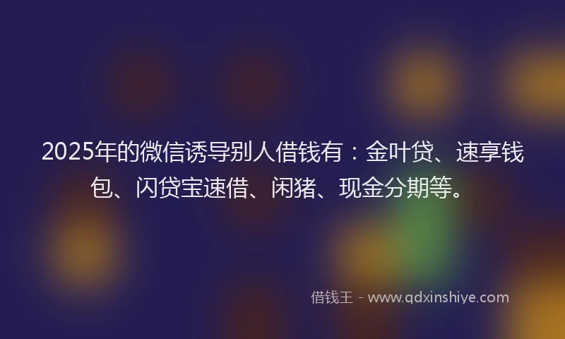 2025年的微信诱导别人借钱有：金叶贷、速享钱包、闪贷宝速借、闲猪、现金分期等。