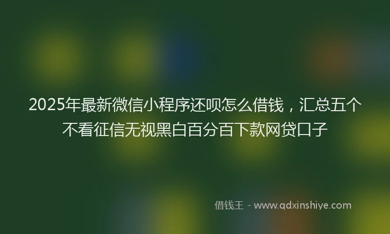 2025年最新微信小程序还呗怎么借钱，汇总五个不看征信无视黑白百分百下款网贷口子
